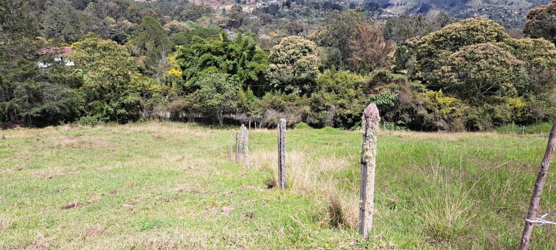 Lote en venta en Los Salados, El Retiro, 5000 m² · foto 12 de 13