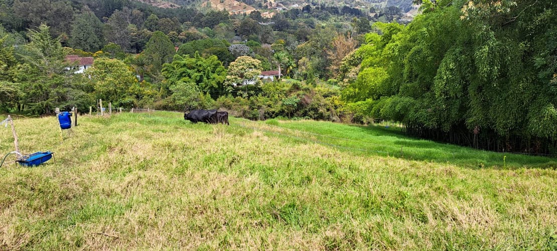 Lote en venta en Los Salados, El Retiro, 5000 m² · foto 13 de 13