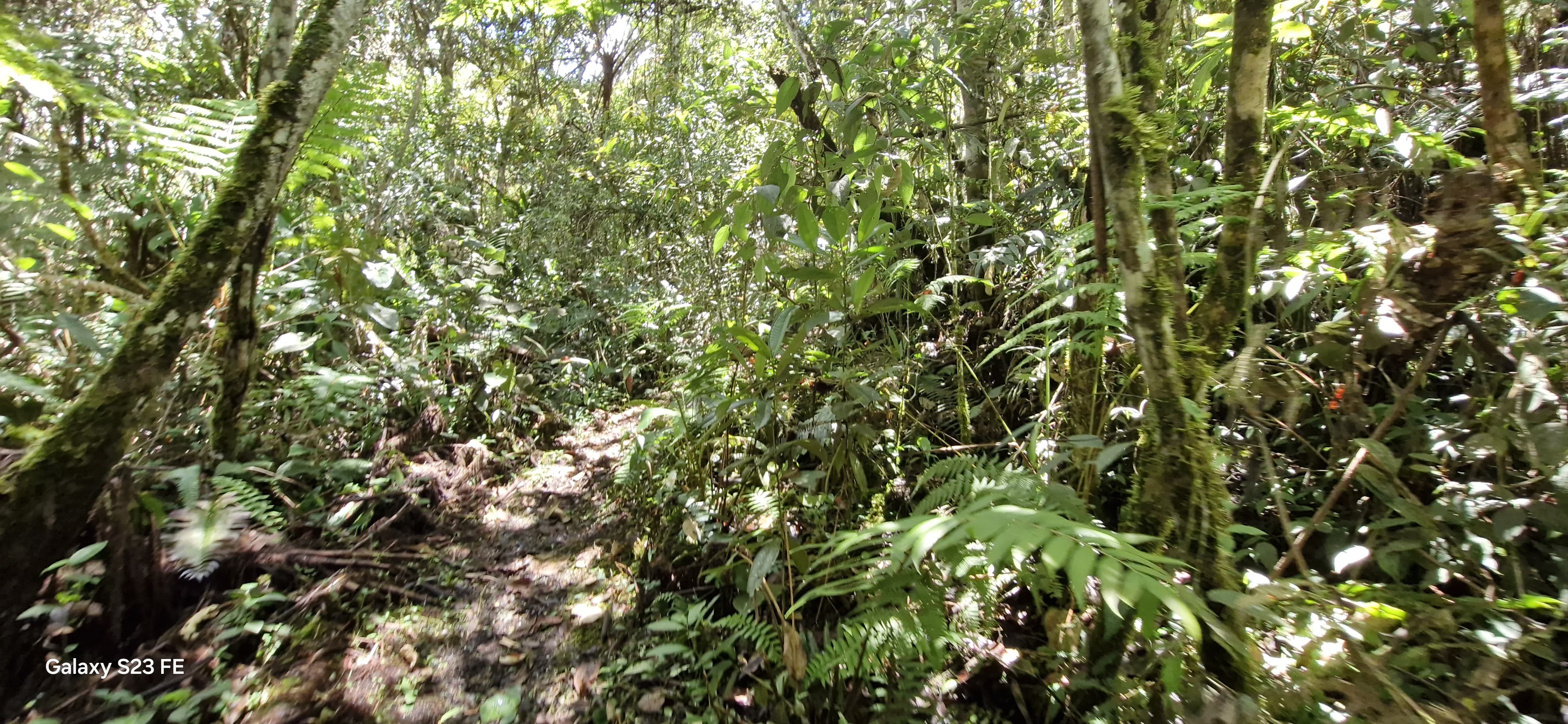 Land in El chuscal for Sale