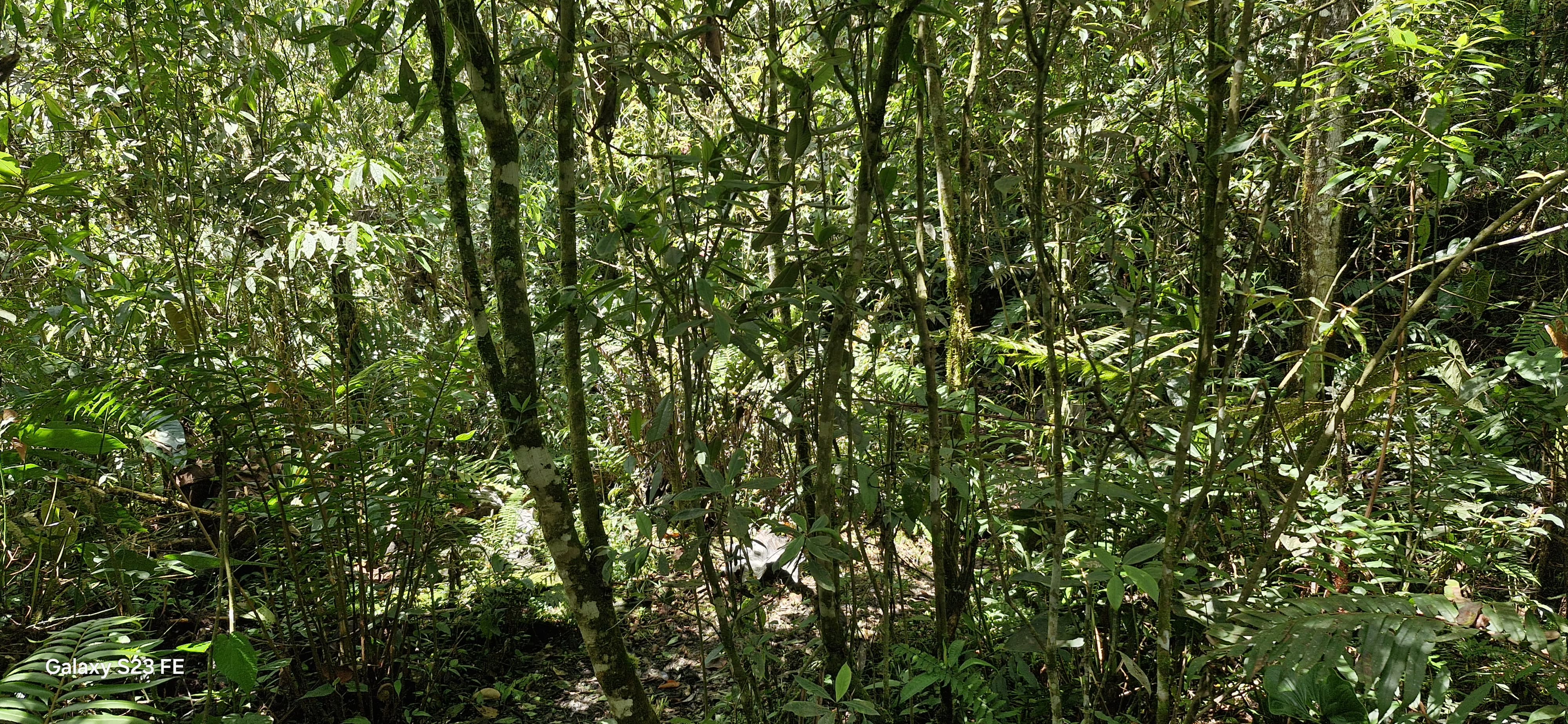 Land in El chuscal for Sale - 2