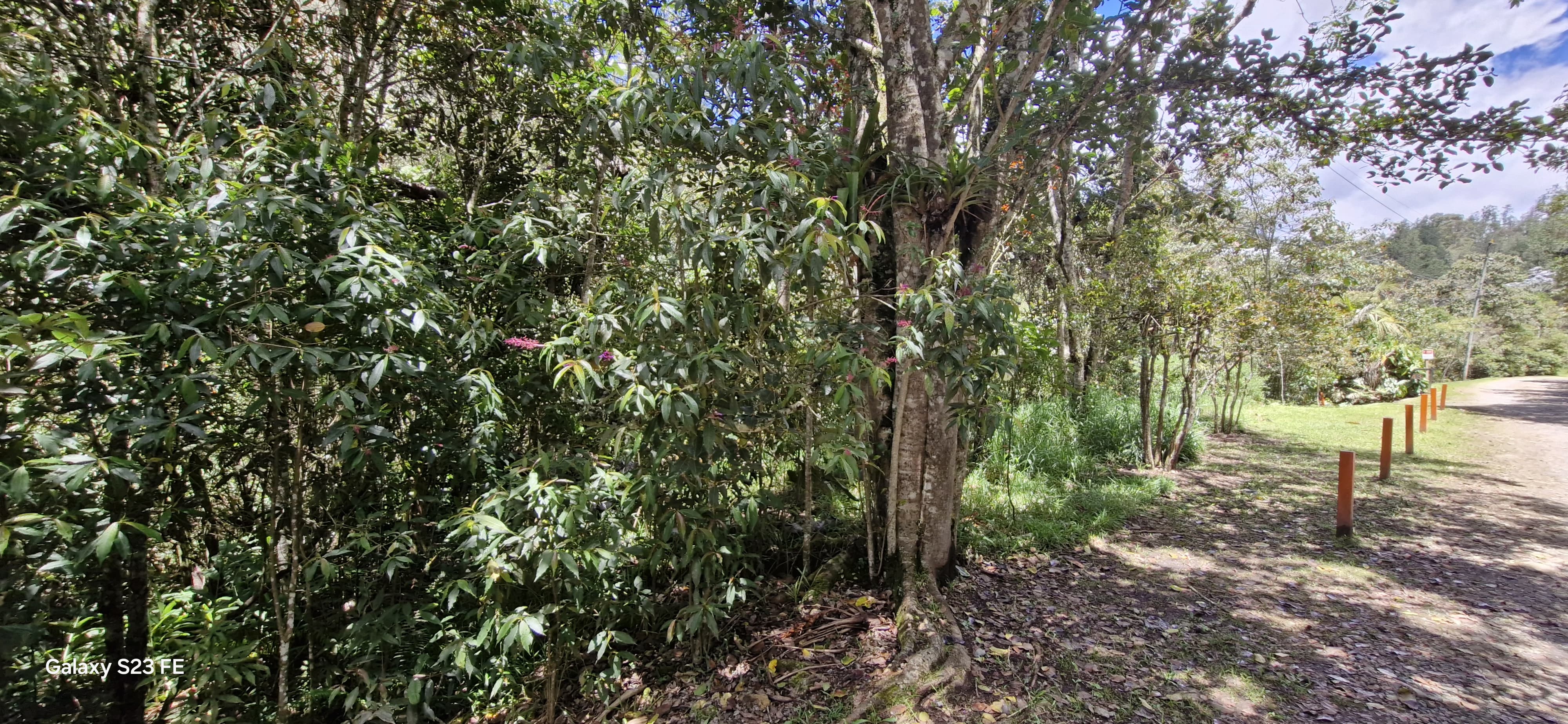Land in El chuscal for Sale - 3