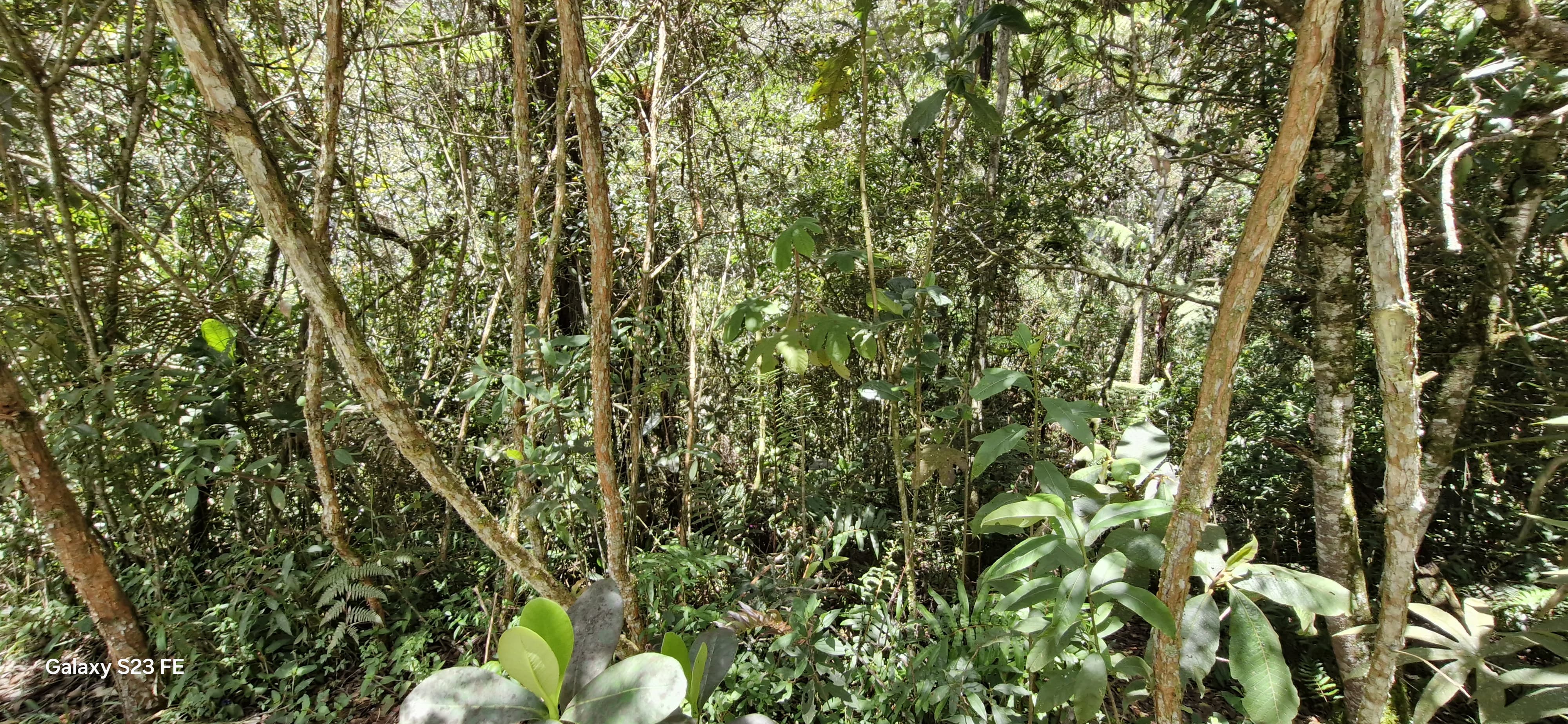 Land in El chuscal for Sale - 4