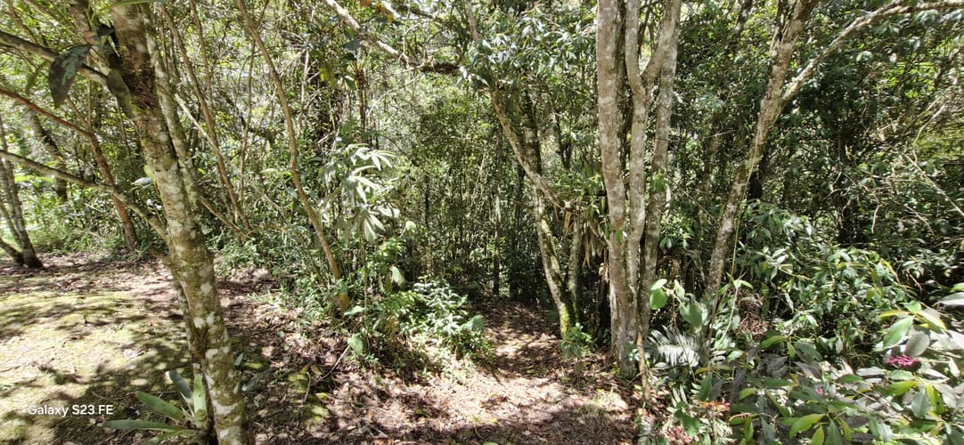 Lote en venta en El Chuscal, El Retiro, 6860 m² · foto 8 de 12