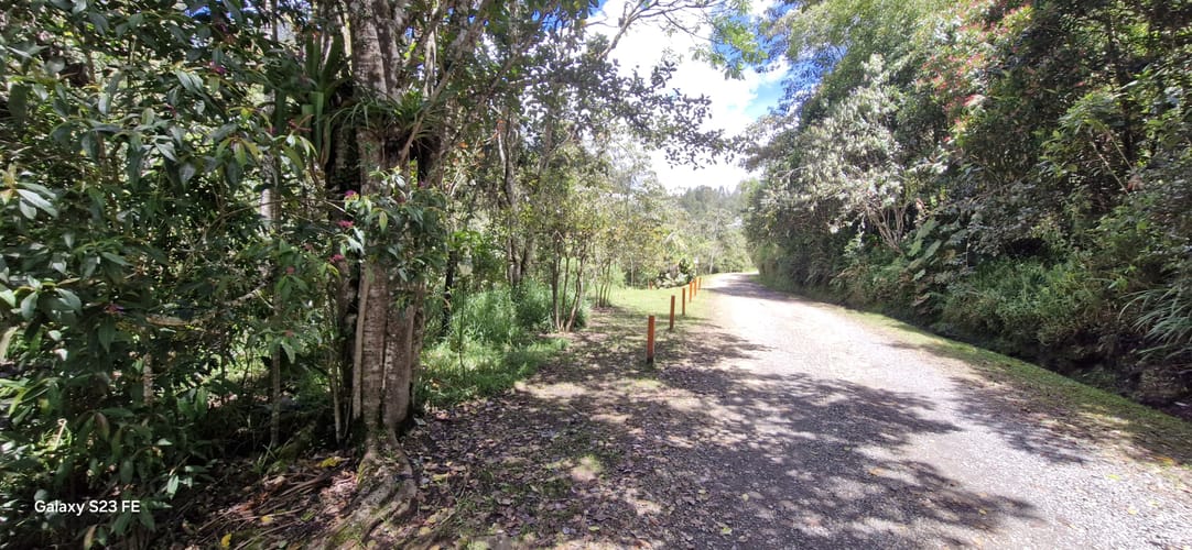 Lote en venta en El Chuscal, El Retiro, 6860 m² · foto 11 de 12