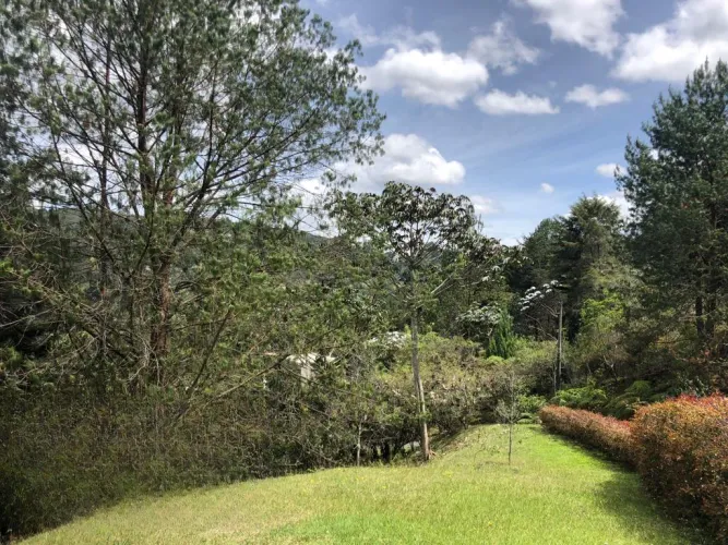 Lote en venta en Puente Pelaez, El Retiro, 5931 m² · foto 11 de 18