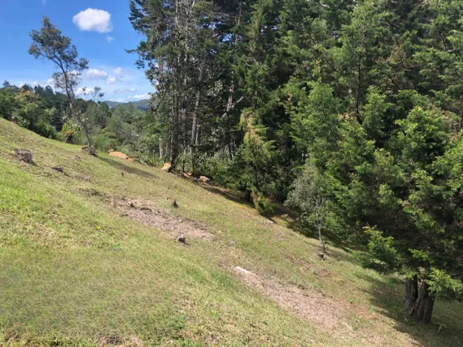 Lote en venta en Puente Pelaez, El Retiro, 5931 m² · foto 13 de 18