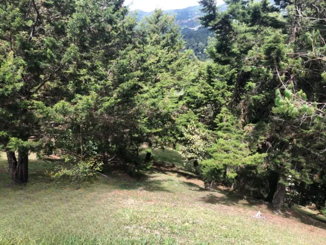 Lote en venta en Puente Pelaez, El Retiro, 5931 m² · foto 17 de 18