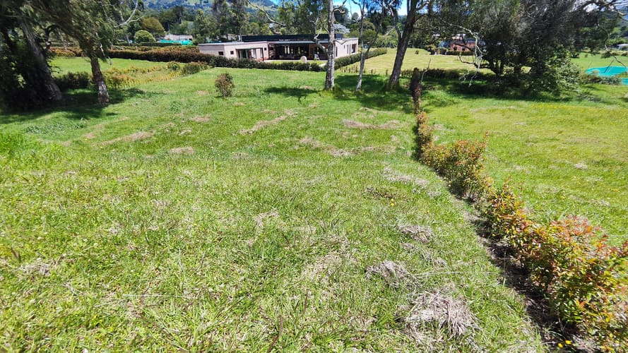 Lote en venta en Guamito, La Ceja, 2004 m² · foto 8 de 11