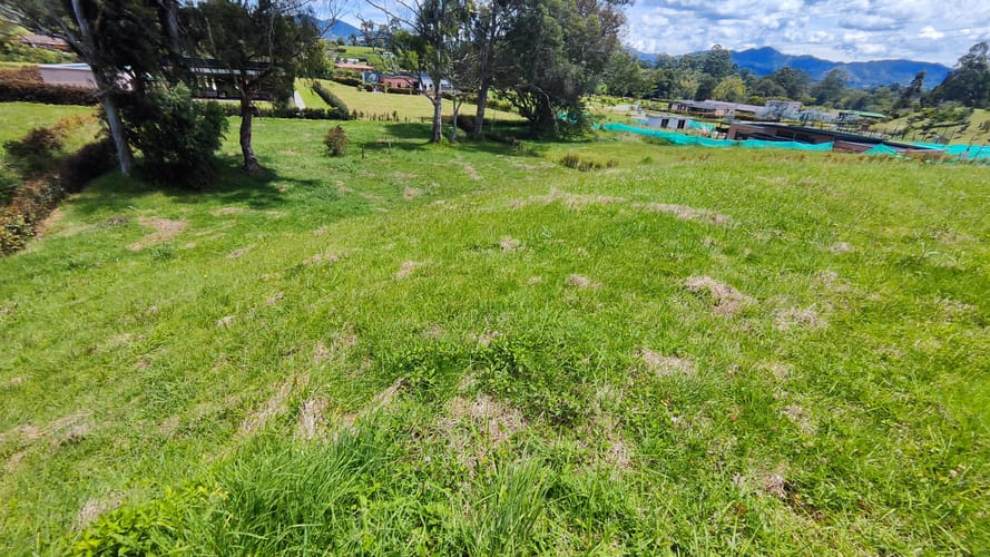 Lote en venta en Guamito, La Ceja, 2004 m² · foto 10 de 11