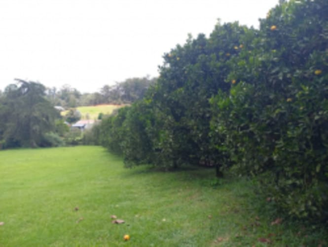Lote en venta en El Carmen de Viboral, 4898 m² · foto 2 de 17