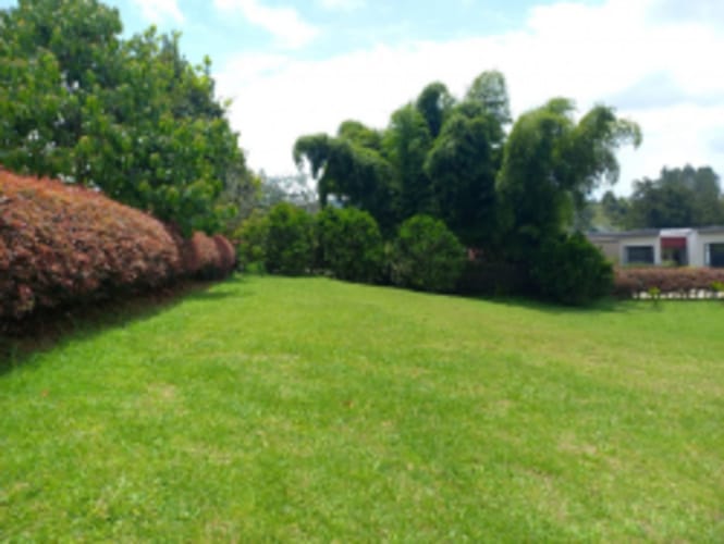 Lote en venta en El Carmen de Viboral, 4898 m² · foto 3 de 17