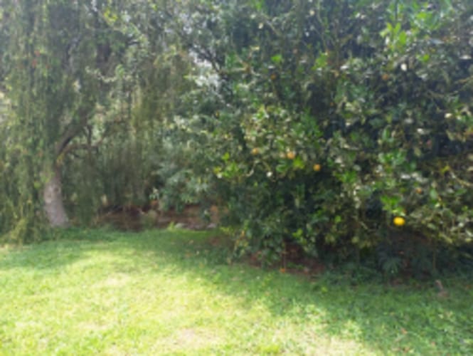 Lote en venta en El Carmen de Viboral, 4898 m² · foto 4 de 17