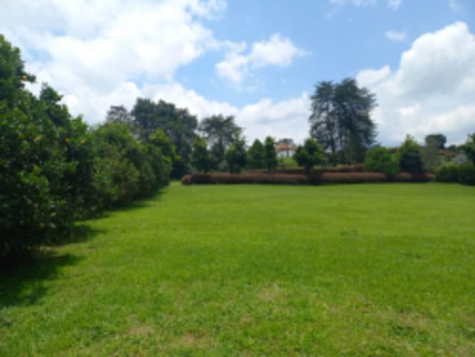 Lote en venta en El Carmen de Viboral, 4898 m² · foto 5 de 17