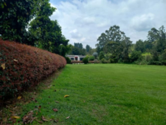 Lote en venta en El Carmen de Viboral, 4898 m² · foto 6 de 17
