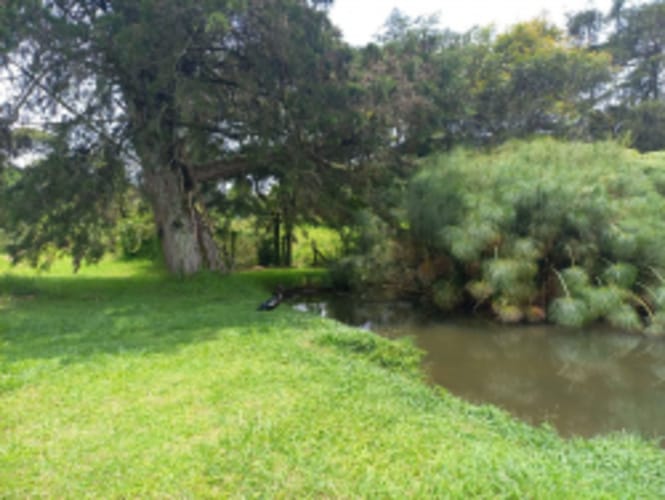Lote en venta en El Carmen de Viboral, 4898 m² · foto 7 de 17