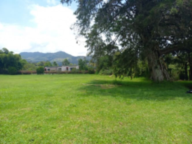 Lote en venta en El Carmen de Viboral, 4898 m² · foto 8 de 17