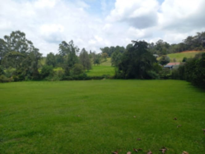 Lote en venta en El Carmen de Viboral, 4898 m² · foto 9 de 17