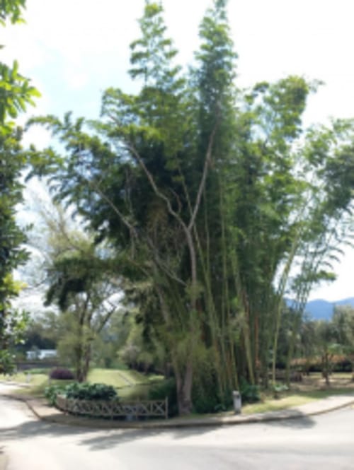 Lote en venta en El Carmen de Viboral, 4898 m² · foto 10 de 17