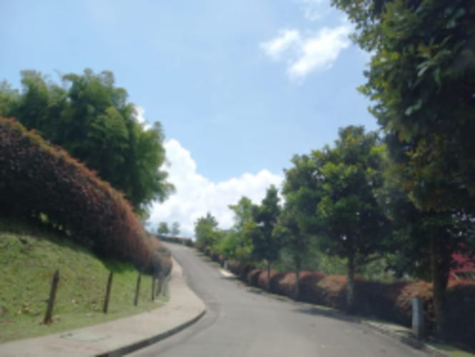 Lote en venta en El Carmen de Viboral, 4898 m² · foto 11 de 17