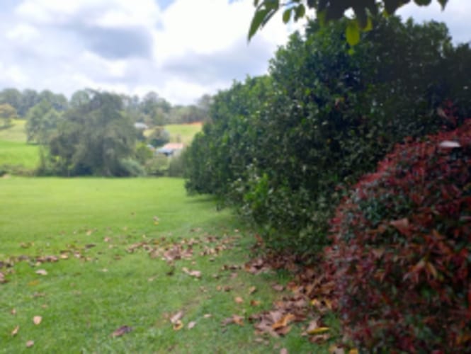 Lote en venta en El Carmen de Viboral, 4898 m² · foto 13 de 17