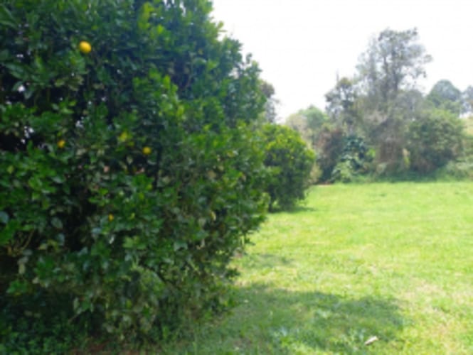 Lote en venta en El Carmen de Viboral, 4898 m² · foto 15 de 17