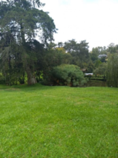 Lote en venta en El Carmen de Viboral, 4898 m² · foto 16 de 17