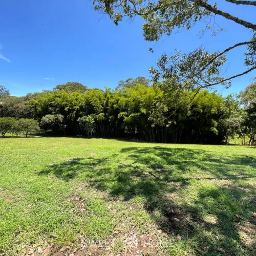 Lote en venta en Llano Grande, Rionegro, 5000 m² · foto 8 de 15
