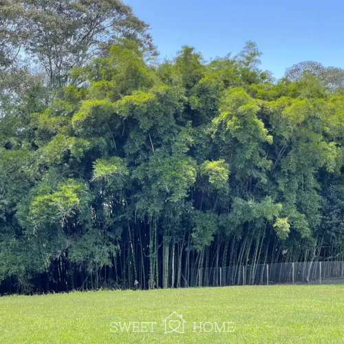 Lote en venta en Llano Grande, Rionegro, 5000 m² · foto 10 de 15