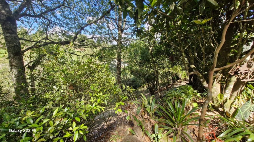 Finca en venta en Puente Pelaez, El Retiro, 450 m² · foto 13 de 24