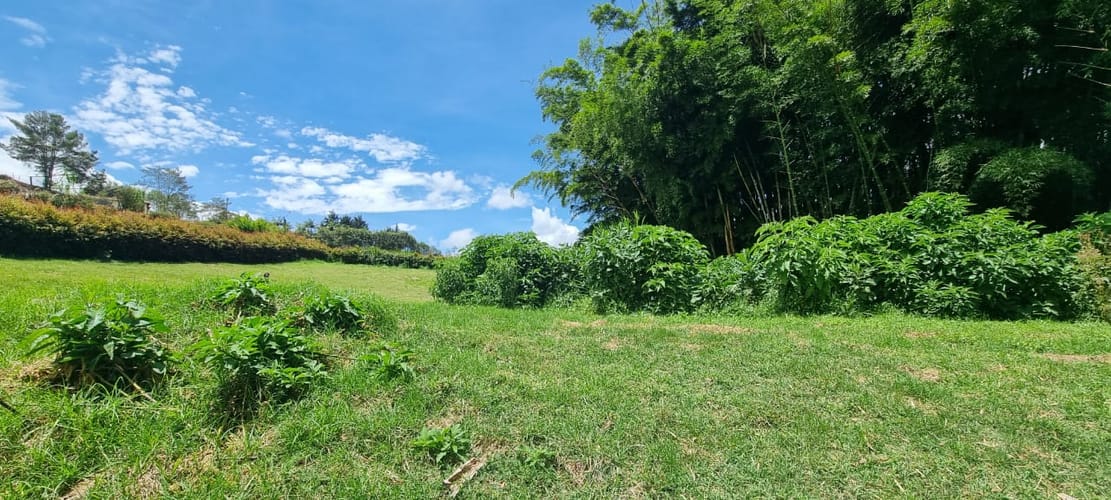 Lote en venta en El Carmen De Viboral, El Carmen de Viboral, 2500 m² · foto 2 de 11