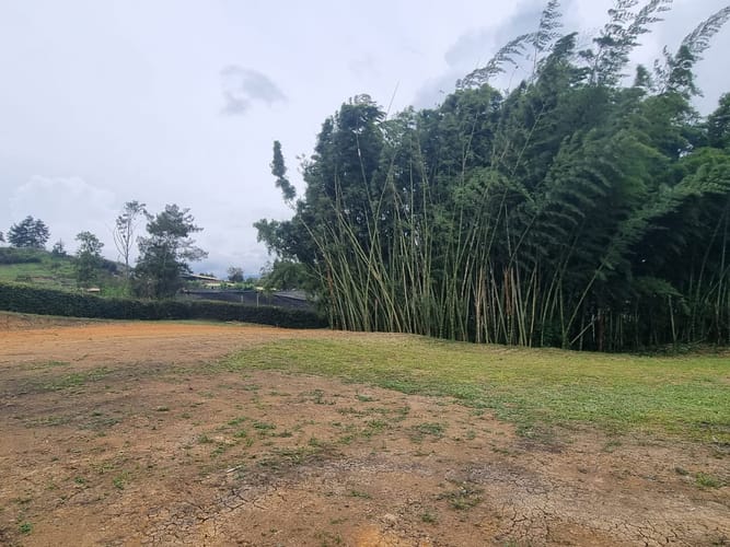 Lote en venta en El Carmen De Viboral, El Carmen de Viboral, 2500 m² · foto 3 de 11
