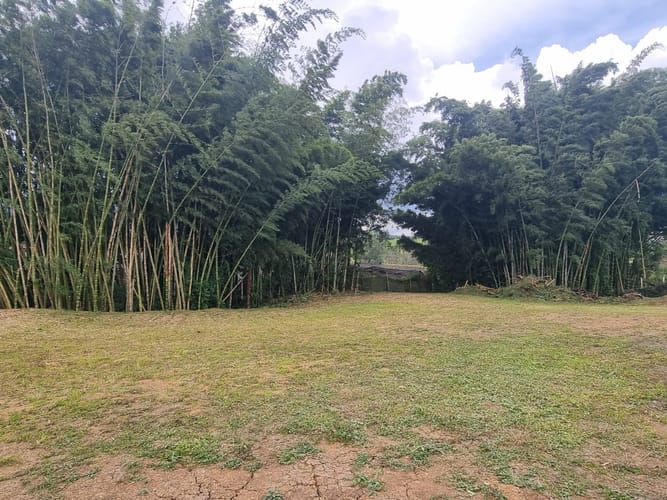 Lote en venta en El Carmen De Viboral, El Carmen de Viboral, 2500 m² · foto 5 de 11