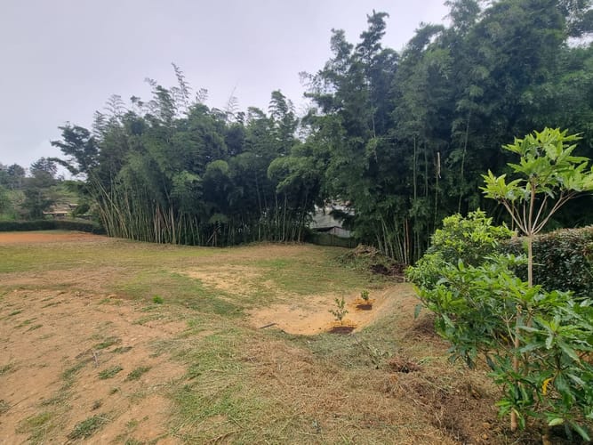 Lote en venta en El Carmen De Viboral, El Carmen de Viboral, 2500 m² · foto 6 de 11