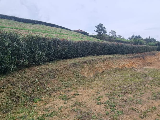 Lote en venta en El Carmen De Viboral, El Carmen de Viboral, 2500 m² · foto 7 de 11