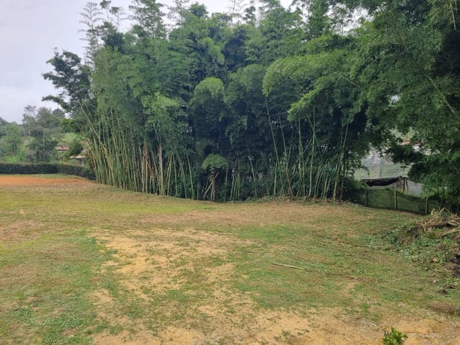 Lote en venta en El Carmen De Viboral, El Carmen de Viboral, 2500 m² · foto 10 de 11