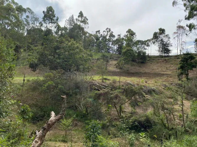 Lote en venta en El Tablazo, Rionegro, 5745 m² · foto 2 de 7