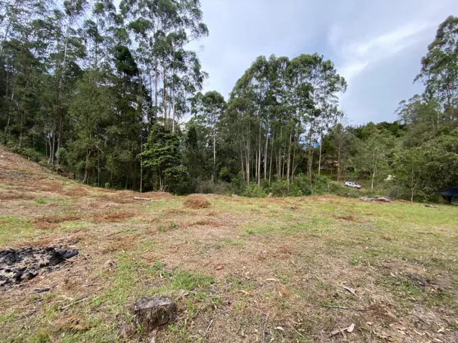 Lote en venta en El Tablazo, Rionegro, 5745 m² · foto 3 de 7
