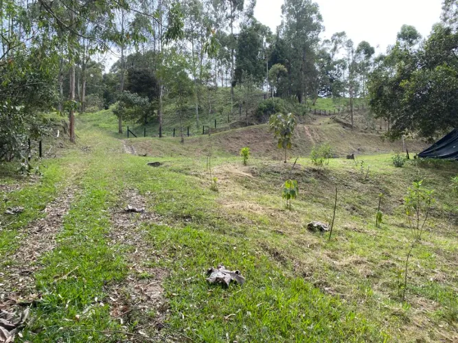 Lote en venta en El Tablazo, Rionegro, 5745 m² · foto 4 de 7