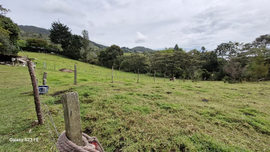 Finca en arriendo en La Ceja, 160 m² · foto 14 de 17