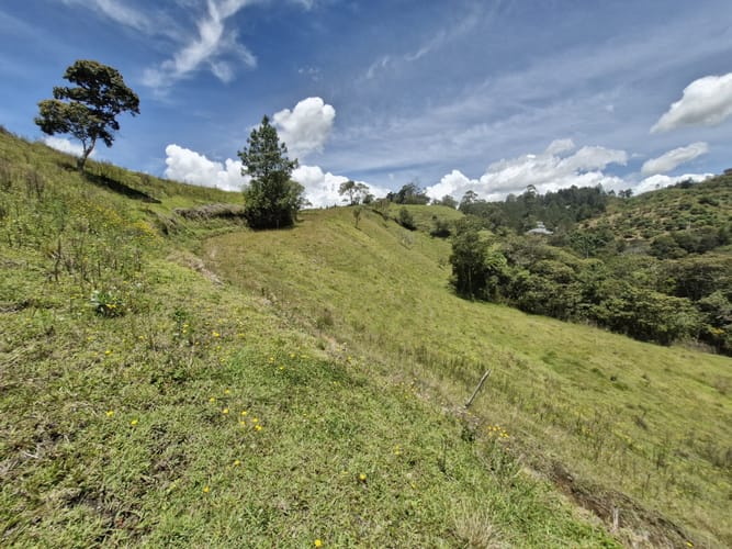 Lote en venta en Lejos Del Nido, El Retiro, 75526 m² · foto 5 de 15