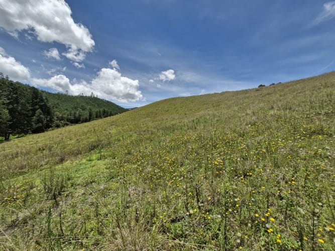 Lote en venta en Lejos Del Nido, El Retiro, 75526 m² · foto 6 de 15