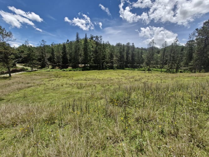 Lote en venta en Lejos Del Nido, El Retiro, 75526 m² · foto 7 de 15