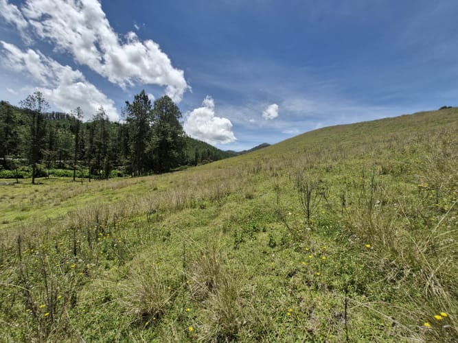 Lote en venta en Lejos Del Nido, El Retiro, 75526 m² · foto 9 de 15