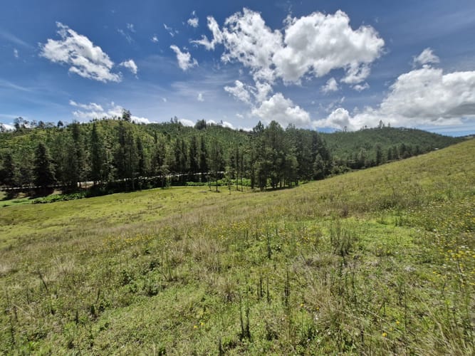 Lote en venta en Lejos Del Nido, El Retiro, 75526 m² · foto 10 de 15