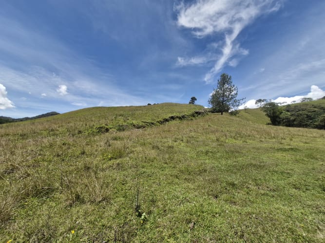 Lote en venta en Lejos Del Nido, El Retiro, 75526 m² · foto 15 de 15