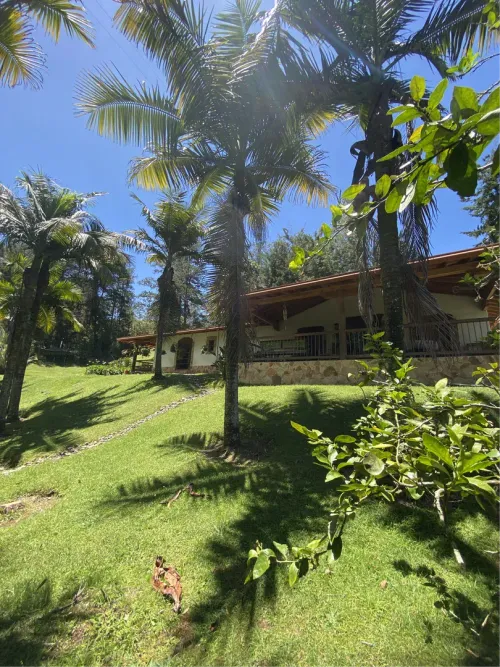 Finca en venta en Santa Elena, El Retiro, 7100 m² · foto 7 de 17