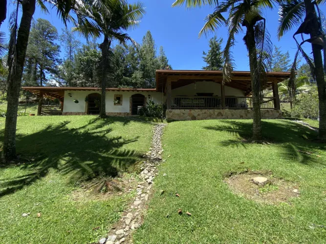 Finca en venta en Santa Elena, El Retiro, 7100 m² · foto 8 de 17