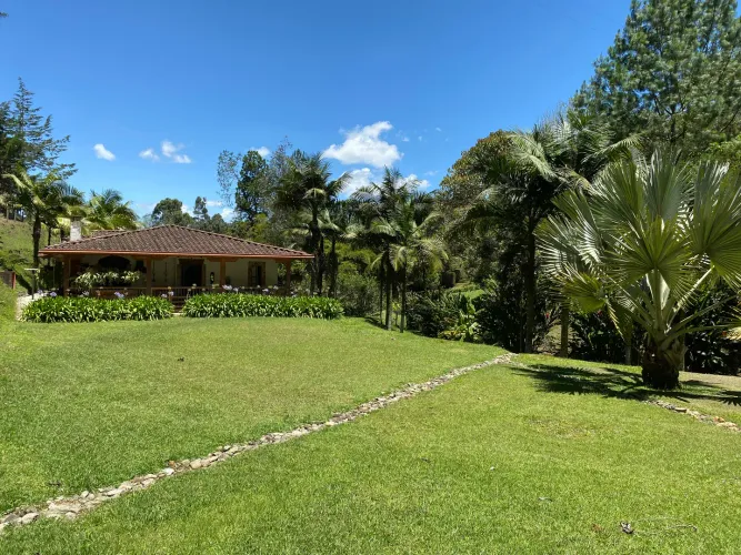 Finca en venta en Santa Elena, El Retiro, 7100 m² · foto 13 de 17
