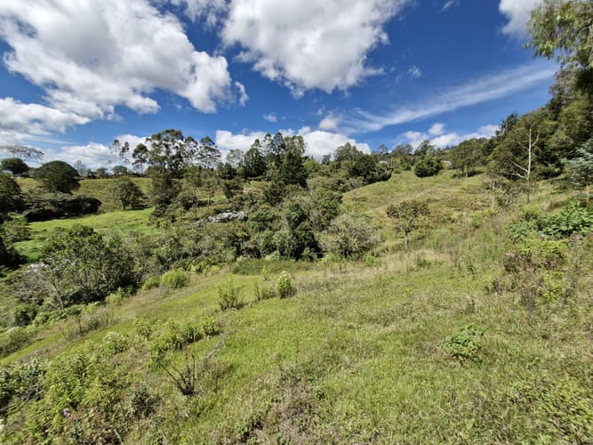 Lote en venta en La Quiebra, Rionegro, 64000 m² · foto 2 de 17