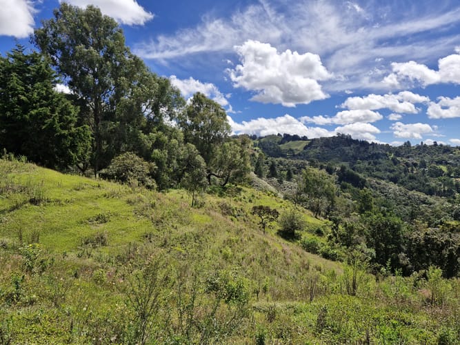 Lote en venta en La Quiebra, Rionegro, 64000 m² · foto 3 de 17